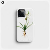 Streambank spiderlily - Pierre Joseph Redouté Phone Case.