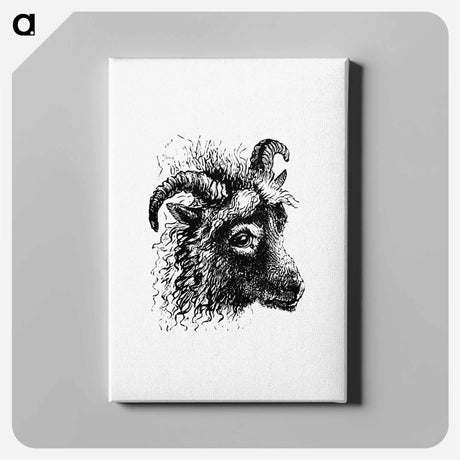アートパネル-Goat from Aileen Aroon
 - 大英図書館 Canvas.