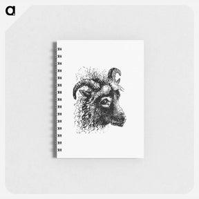 アートメモ帳-Goat from Aileen Aroon
 - 大英図書館 Memo.