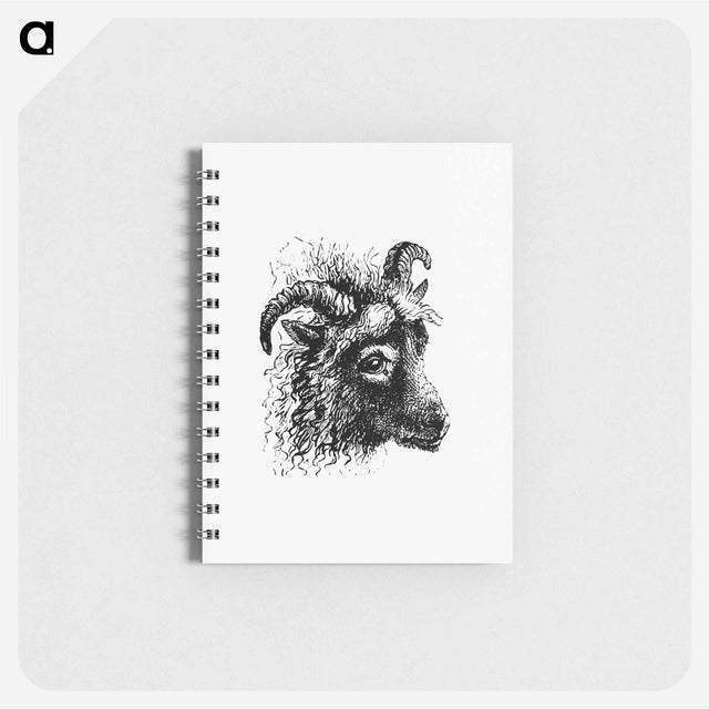 アートメモ帳-Goat from Aileen Aroon
 - 大英図書館 Memo.