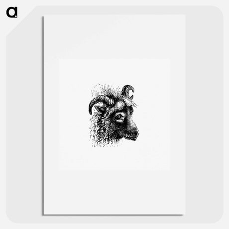 アートポスター-Goat from Aileen Aroon
 - 大英図書館 Poster.