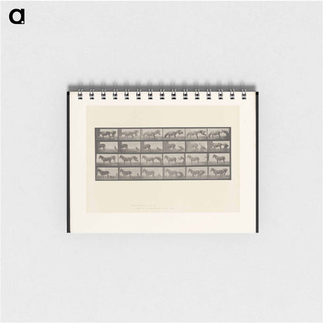 アートメモ帳-Mule Stubbornness
 - エドワード マイブリッジ Memo.