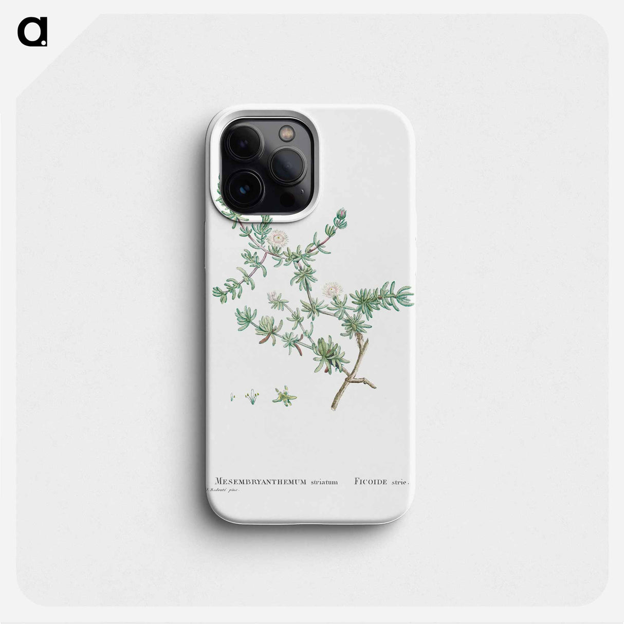 Mesembryanthemum Striatum - Pierre Joseph Redouté Phone Case.