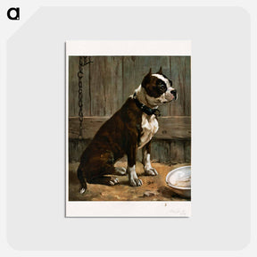 アートポストカード-Seated Terrier
 - ボストン公共図書館 Postcard.