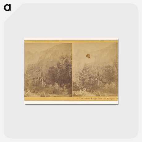 アートポストカード-The Pohono Range, from the Mariposa Trail
 - エドワード マイブリッジ Postcard.