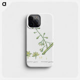 Furcraea Gigantea (Mauritius Hemp) - ピエール ジョゼフ ルドゥーテ Phone Case.