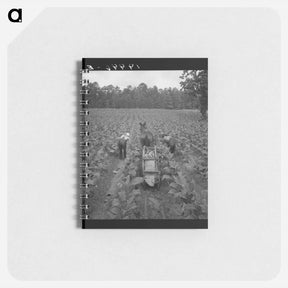 アートメモ帳-Untitled photo - ドロテア ラング Memo.