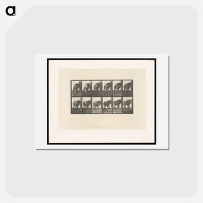 アートポストカード-Walking Lion
 - エドワード マイブリッジ Postcard.