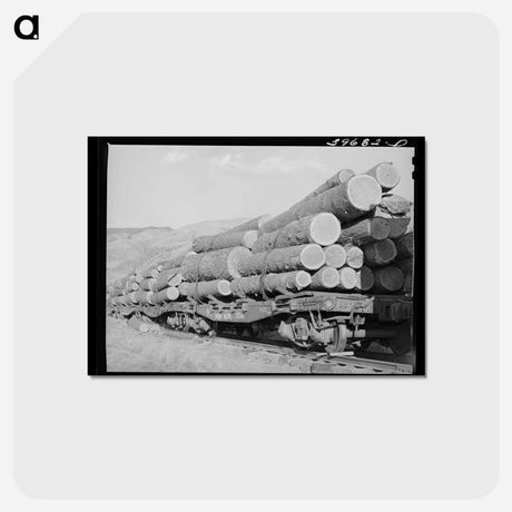 アートポストカード-Logs on Flat Cars, Cascade, Idaho
 - ラッセル リー Postcard.