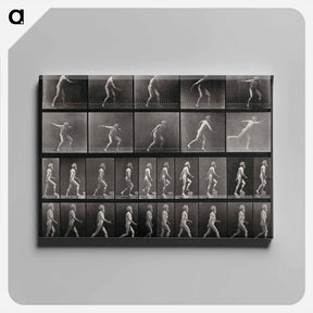 アートパネル-E. Muybridge's Motion Studies
 - エドワード マイブリッジ Canvas.