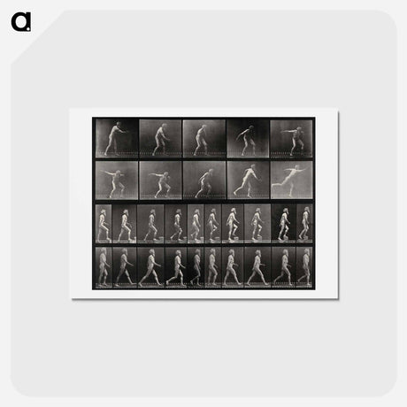 アートポストカード-E. Muybridge's Motion Studies
 - エドワード マイブリッジ Postcard.