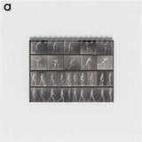 アートメモ帳-E. Muybridge's Motion Studies
 - エドワード マイブリッジ Memo.
