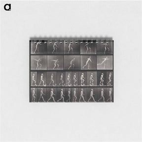 アートメモ帳-E. Muybridge's Motion Studies
 - エドワード マイブリッジ Memo.