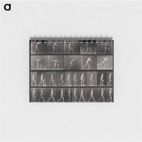 アートメモ帳-E. Muybridge's Motion Studies
 - エドワード マイブリッジ Memo.