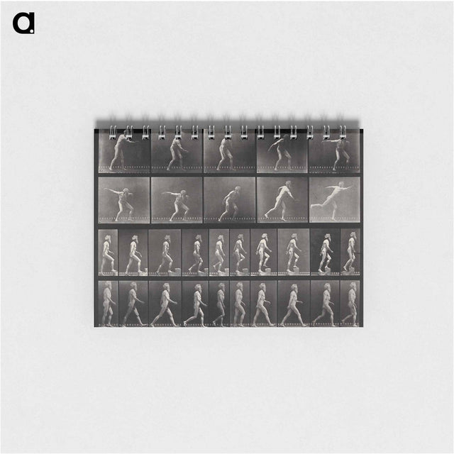 アートメモ帳-E. Muybridge's Motion Studies
 - エドワード マイブリッジ Memo.