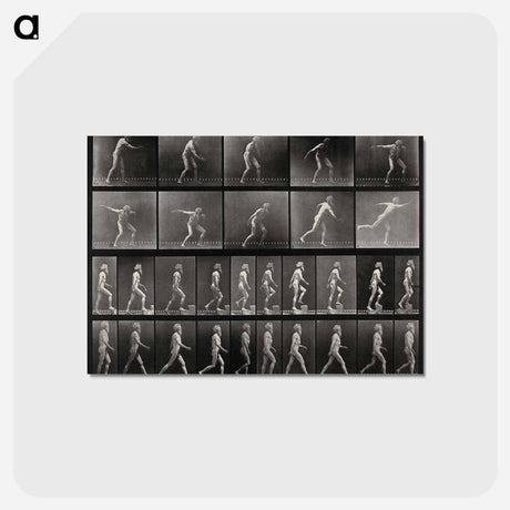 アートポストカード-E. Muybridge's Motion Studies
 - エドワード マイブリッジ Postcard.