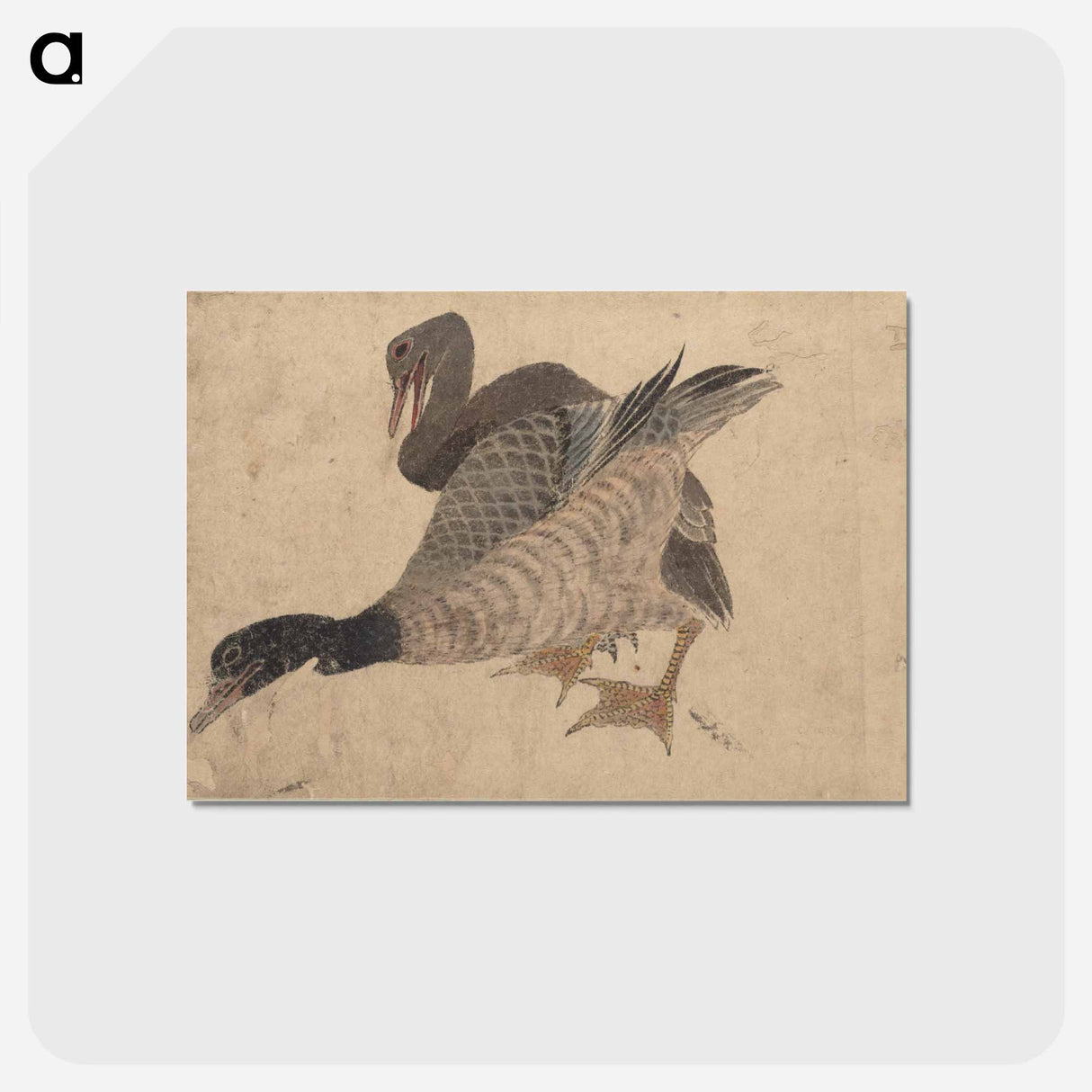 アートポストカード-Album of Sketches by Katsushika Hokusai and His Disciples - 葛飾 北斎 Postcard.