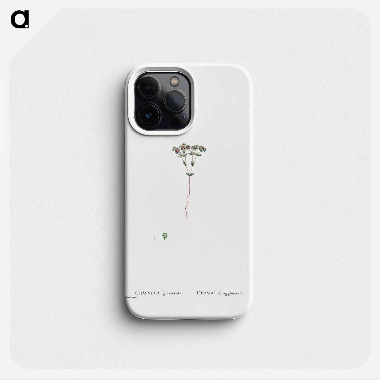 Crassula Glomerata (Brakvygie) - Pierre Joseph Redouté Phone Case.