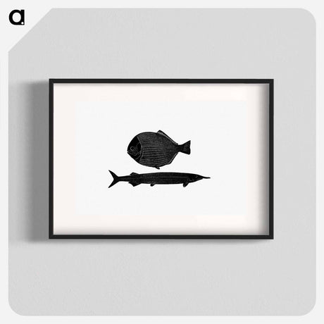 アートポスター-Fish from Manual Of Geology
 - 大英図書館 Poster.