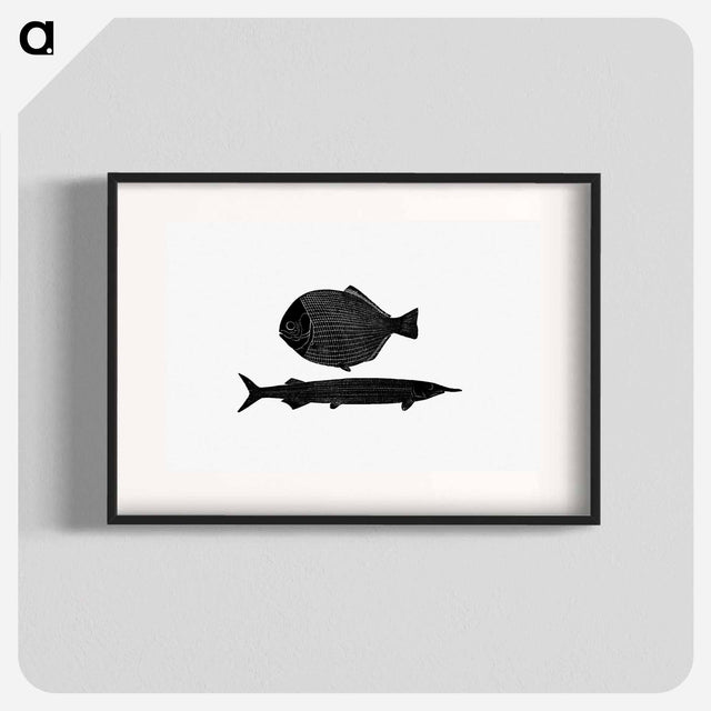 アートポスター-Fish from Manual Of Geology
 - 大英図書館 Poster.