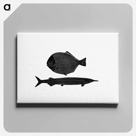 アートパネル-Fish from Manual Of Geology
 - 大英図書館 Canvas.