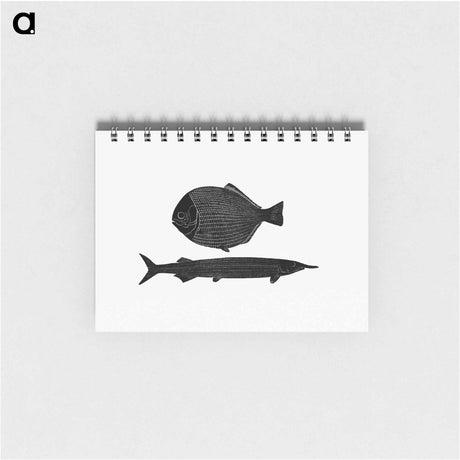 アートメモ帳-Fish from Manual Of Geology
 - 大英図書館 Memo.
