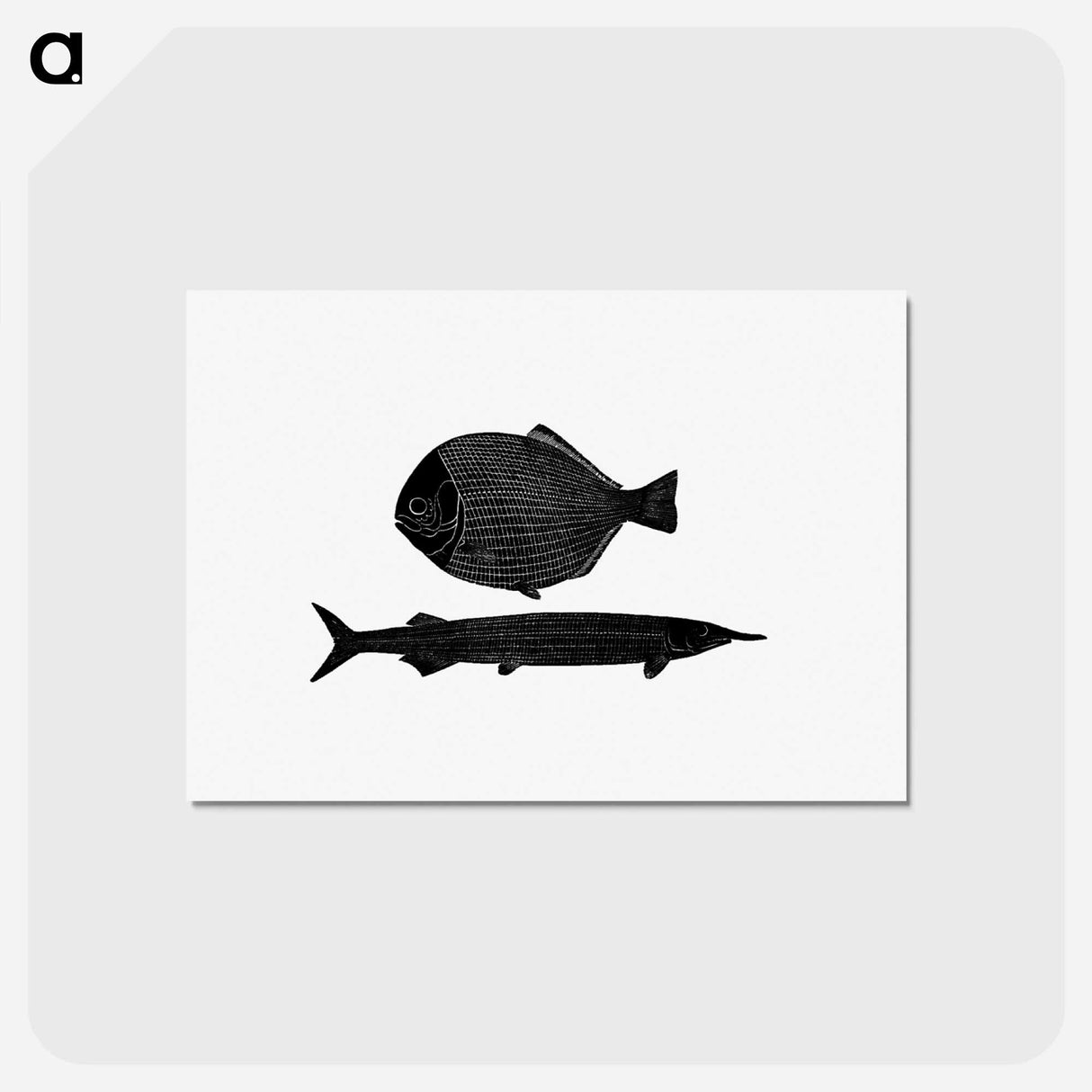 アートポストカード-Fish from Manual Of Geology
 - 大英図書館 Postcard.