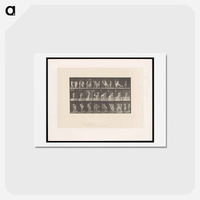 アートポストカード-Undressing
 - エドワード マイブリッジ Postcard.