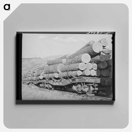 アートパネル-Fir Tree, Cowlitz County
 - ラッセル リー Canvas.