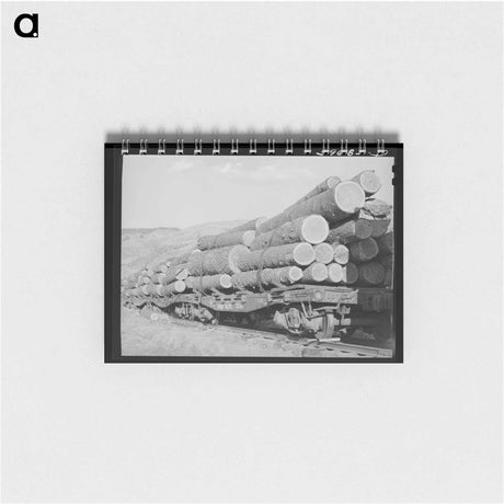 アートメモ帳-Fir Tree, Cowlitz County
 - ラッセル リー Memo.