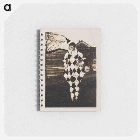 アートメモ帳-Woman Wearing Harlequin Costume
 - セントルイス美術館 Memo.