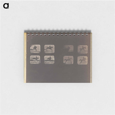 アートメモ帳-Leaping
 - エドワード マイブリッジ Memo.