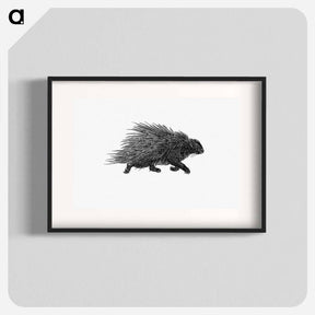 アートポスター-Hedgehog from Portuguese Expedition to Muatianvua Ethnographia and Traditional History of the People of Lunda
 - 大英図書館 Poster.