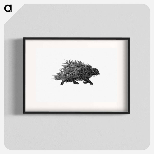 アートポスター-Hedgehog from Portuguese Expedition to Muatianvua Ethnographia and Traditional History of the People of Lunda
 - 大英図書館 Poster.