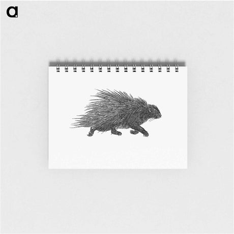 アートメモ帳-Hedgehog from Portuguese Expedition to Muatianvua Ethnographia and Traditional History of the People of Lunda
 - 大英図書館 Memo.