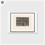 アートポストカード-Llama Walking
 - エドワード マイブリッジ Postcard.