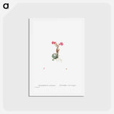 アートポストカード-Sempervivum Arachnoideum (Cobweb Houseleek) - ピエール ジョゼフ ルドゥーテ Postcard.