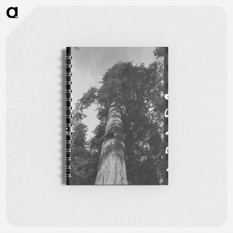 アートメモ帳-New Beginnings: An Oklahoma Farmer in California
 - ラッセル リー Memo.
