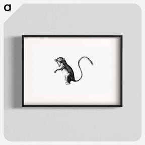 アートポスター-Perognathus
 - 大英図書館 Poster.