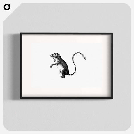 アートポスター-Perognathus
 - 大英図書館 Poster.