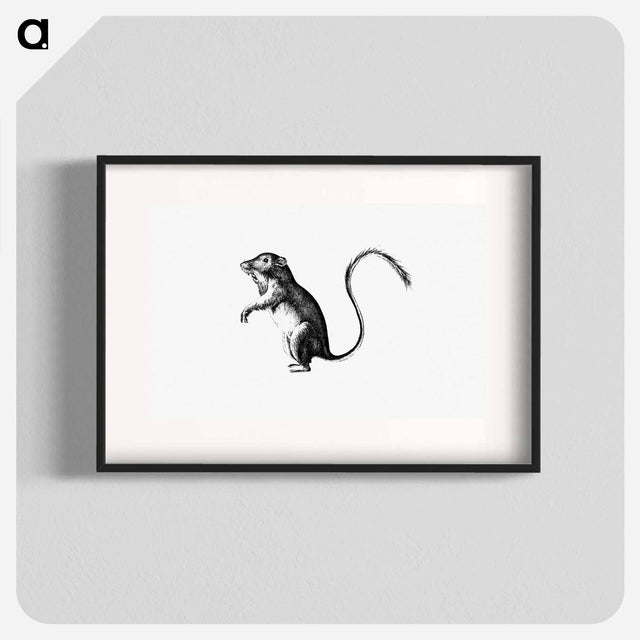 アートポスター-Perognathus
 - 大英図書館 Poster.