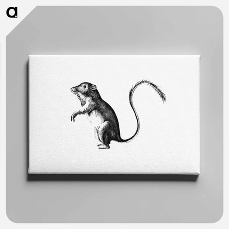 アートパネル-Perognathus
 - 大英図書館 Canvas.
