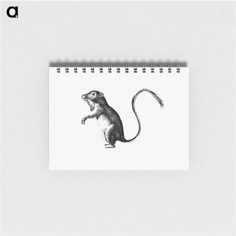アートメモ帳-Perognathus
 - 大英図書館 Memo.