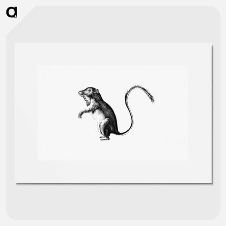 アートポスター-Perognathus
 - 大英図書館 Poster.