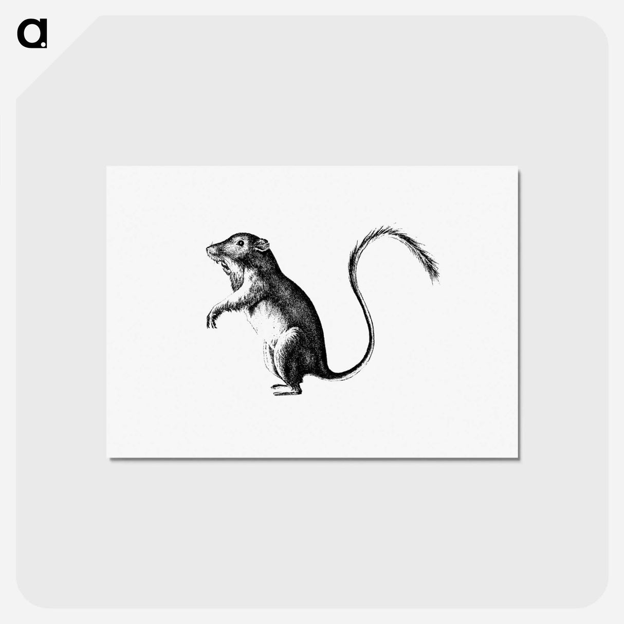 アートポストカード-Perognathus
 - 大英図書館 Postcard.