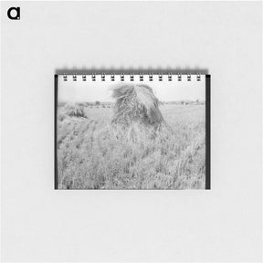 アートメモ帳-Wheat in Sperryville, Virginia - ドロテア ラング Memo.