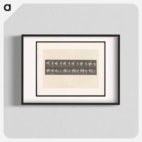 アートポスター-Running Fallow Deer
 - エドワード マイブリッジ Poster.