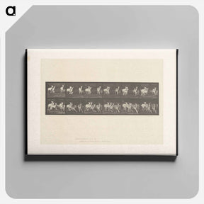 アートパネル-Running Fallow Deer
 - エドワード マイブリッジ Canvas.