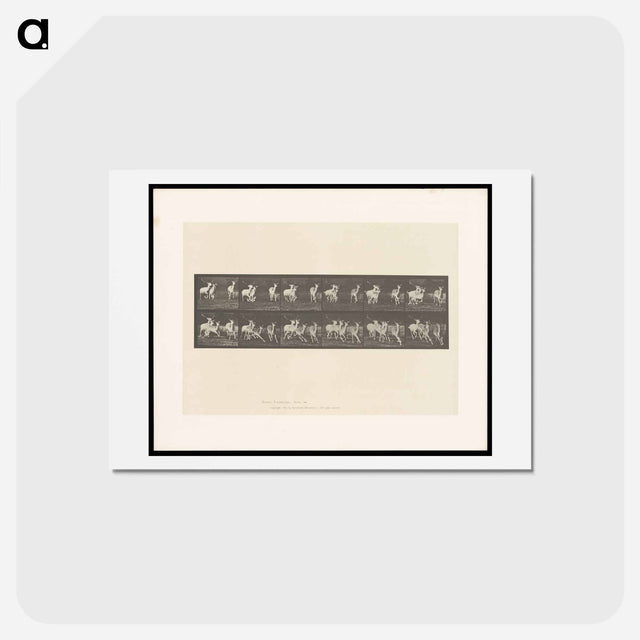 アートポストカード-Running Fallow Deer
 - エドワード マイブリッジ Postcard.