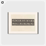 アートポストカード-Running Fallow Deer
 - エドワード マイブリッジ Postcard.